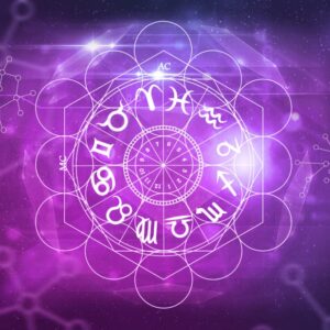 shutterstock 1202401354