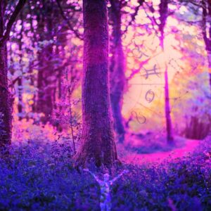 shutterstock 1230018535