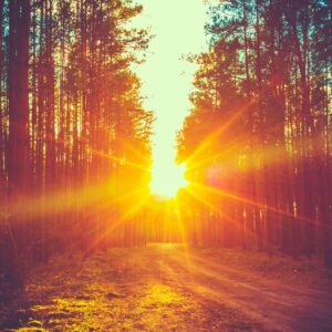 shutterstock 228722404