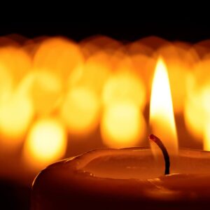 shutterstock 339670058 1