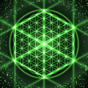 shutterstock 730542871 1