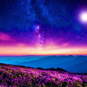 51552712 2331355960442809 3620443481027117056 n