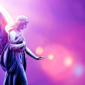 52893722 589479481525134 5117717128211857408 n