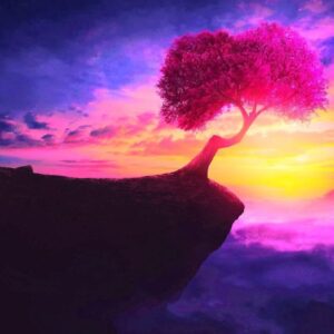 61455775 344290946284308 7410864613530533888 n