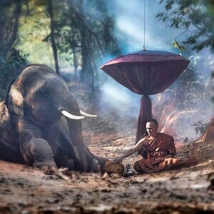 Heart Of The Righteous