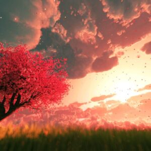 Valley Of Eternal Blossoms