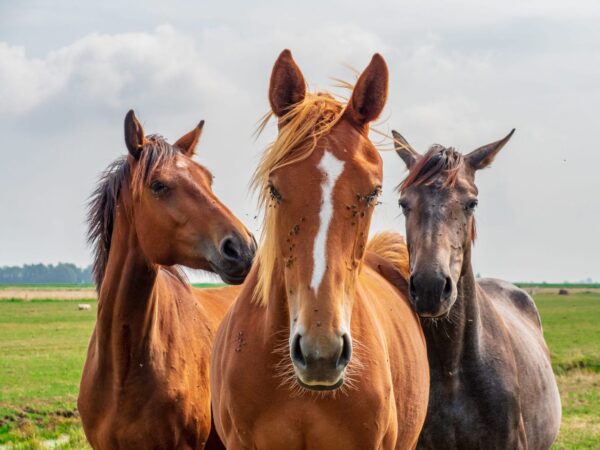AdobeStock 230240356 scaled