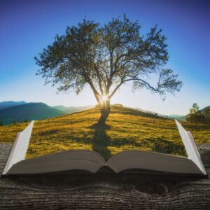 The Ancient Lawbringer