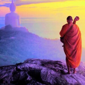 Wings Of Light & Dark