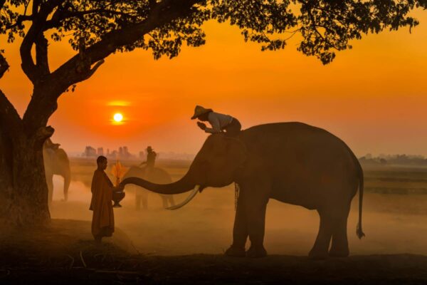 Worship before sunset