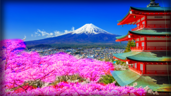 shutterstock 414728179