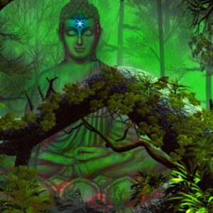 Idle Eyes Of The Wise