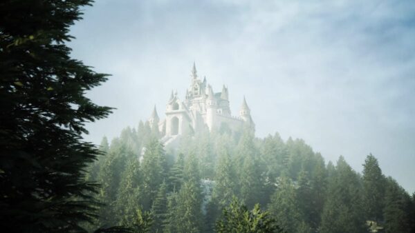 A castle in the forest