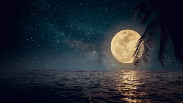 Shutterstock 621556526